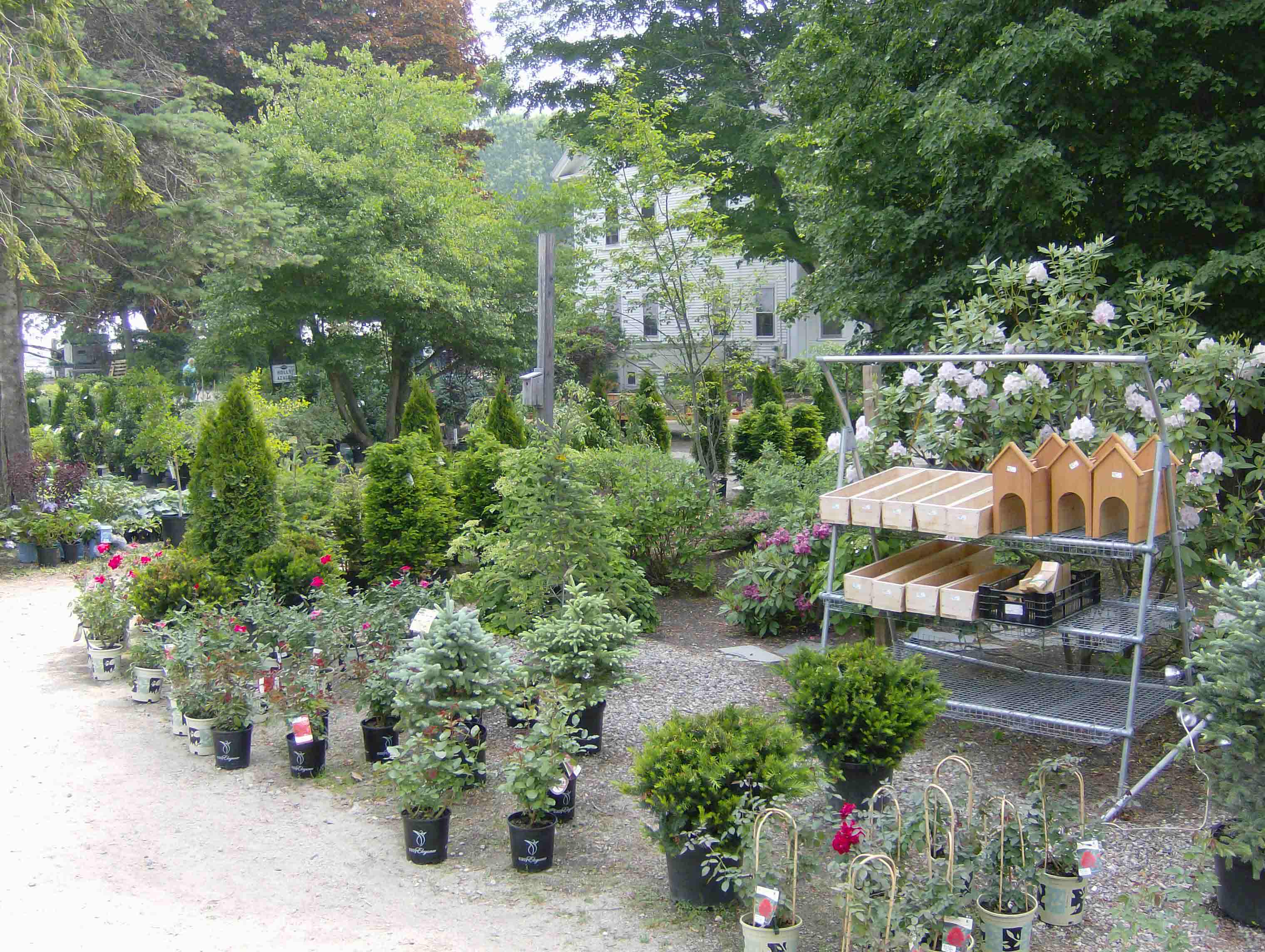 Moody's Nursery in Saco, Maine - GARDEN CENTER